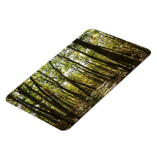 アパラチア・トレイル10月シェナンドアで マグネット (左側)