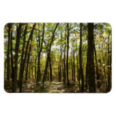 アパラチア・トレイル10月シェナンドアで マグネット (横)