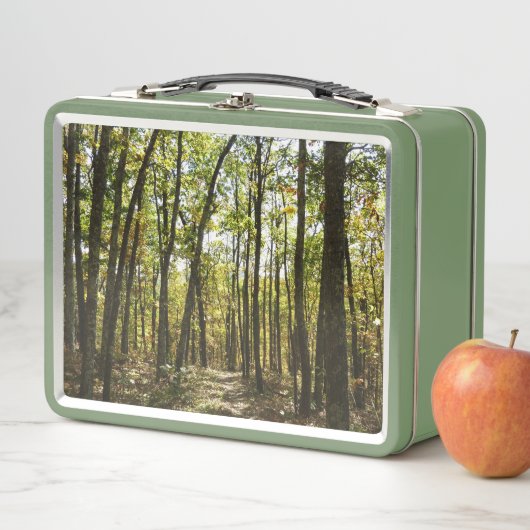 アパラチア・トレイル10月シェナンドアで メタルランチボックス (インサイチュ)