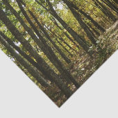 アパラチア・トレイル10月シェナンドアで 薄葉紙 (詳細)