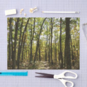 アパラチア・トレイル10月シェナンドアで 薄葉紙 (クラフト)