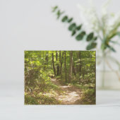 アパラチア・トレイル・ペンシルバニア・ターキー ポストカード (スタンド正面)