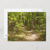 アパラチア・トレイル・ペンシルバニア・ターキー ポストカード (正面/裏面)