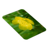 アパラチア・バターカップフレキシブルマグネット マグネット (右側)