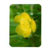 アパラチア・バターカップフレキシブルマグネット マグネット (縦)