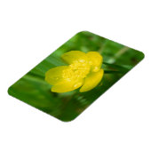 アパラチア・バターカップフレキシブルマグネット マグネット (左側)