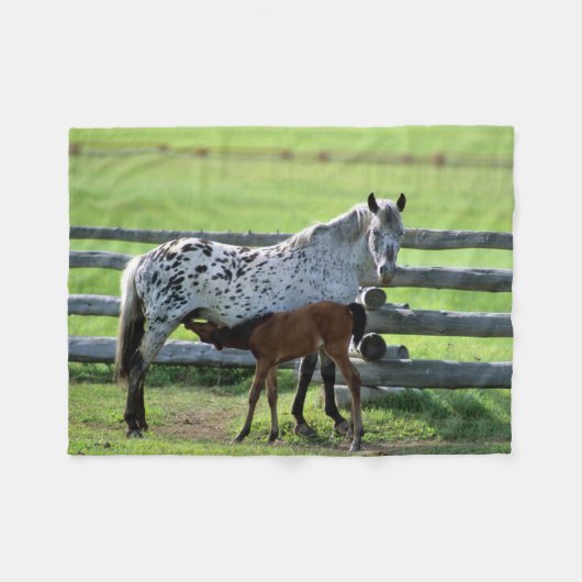 アパラルーサの牝馬と子馬 フリースブランケット (正面(横))
