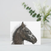 アパルーサとアパルーサの間の異種飼料 ポストカード (スタンド正面)