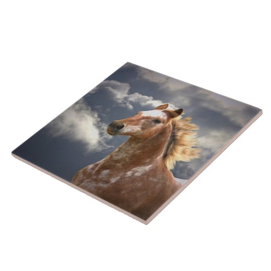 アパルーサの馬と雲 タイル (側面)