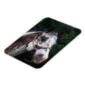 アパルーサホースヘッドショット2 マグネット (左側)