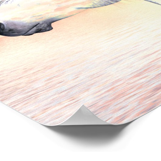 アパルーサ馬 ポスター (角)