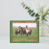 アパルーサ・ウーズ・ハストカードのバンド ポストカード (スタンド正面)