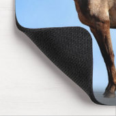 アパルーサ マウスパッド (コーナー)