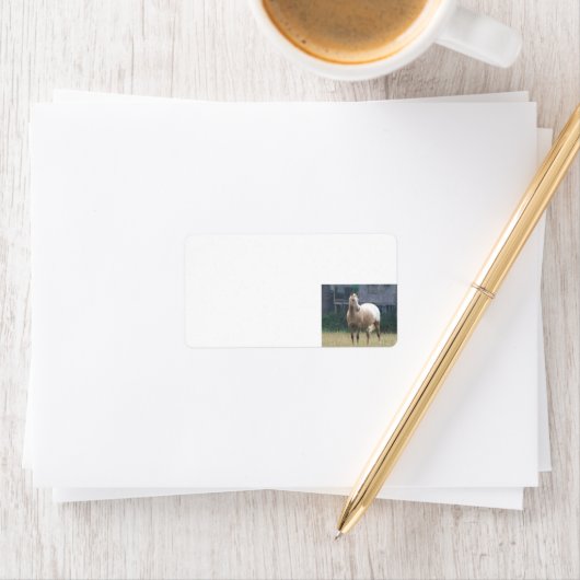 アパルーサ ラベル (インサイチュ)