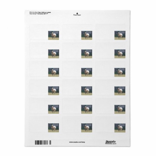 アパルーサ ラベル (フルシート)