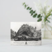 アパレンティオブザヴァージンメアリー ポストカード (スタンド正面)