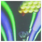 アパレンティスパイス ファブリック (クローズアップ)