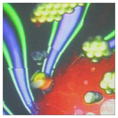 アパレンティスパイス ファブリック (見本)