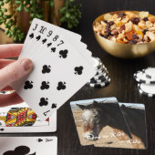 アパロかわいらしーサホース – ウェスタン トランプ (インサイチュ)