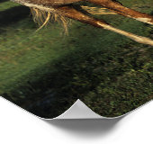 アパロオサウマ ポスター (角)