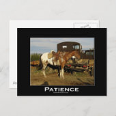 アパロオサホースウマ科のアやる気を起こさせるートカード ポストカード (正面/裏面)