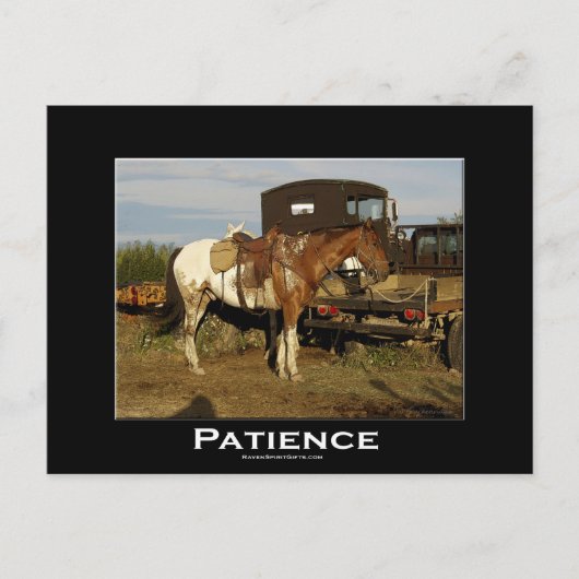 アパロオサホースウマ科のアやる気を起こさせるートカード ポストカード (正面)