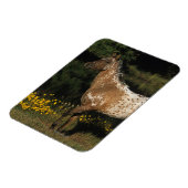 アパロオサホーススタンドバイレイク マグネット (左側)