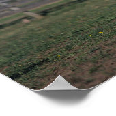 アパロオサホーススタンド ポスター (角)