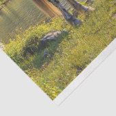 アパロオサホースバイザレイクシーニックデクページ 薄葉紙 (詳細)