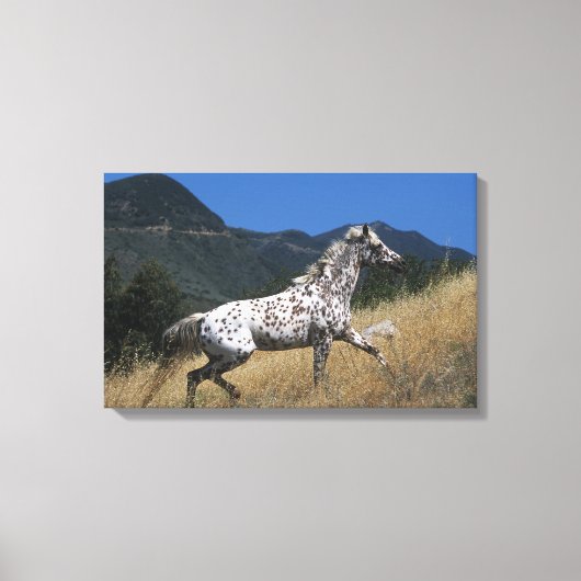 アパロオサホースランニングズアップマウンテン キャンバスプリント (正面)