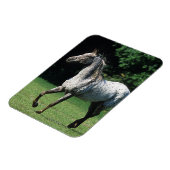 アパロオサホースランニングズ2 マグネット (左側)