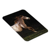 アパロオサホースランニングズ4 マグネット (右側)