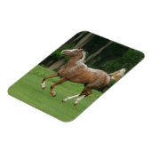 アパロオサホースランニングズ マグネット (左側)