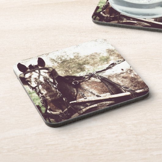 アパロオサホース コースター (左側)