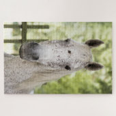 アパロオサホース ジグソーパズル (横)