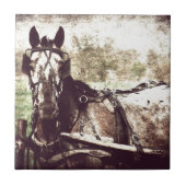 アパロオサホース タイル (正面)