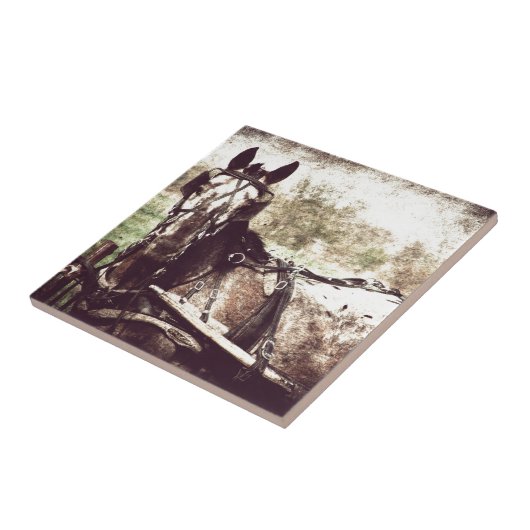 アパロオサホース タイル (側面)