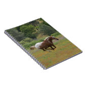 アパロオサホース ノートブック (右側)