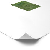 アパロオサホース ポスター (角)