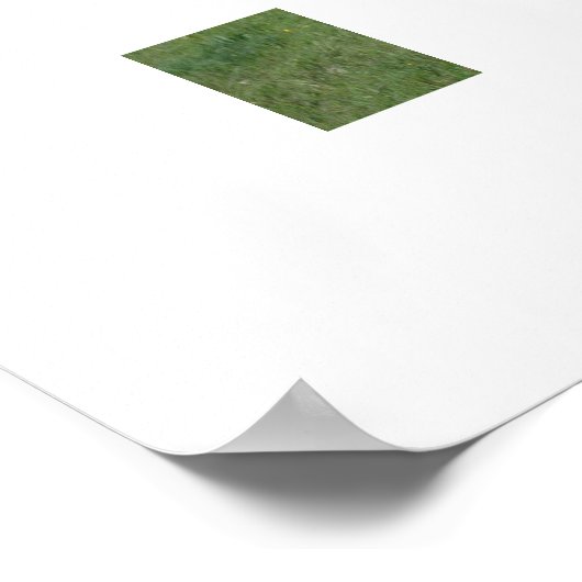 アパロオサホース ポスター (角)