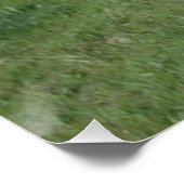 アパロオサホース ポスター (コーナー)