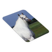 アパロオサホース マグネット (右側)