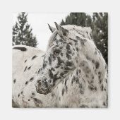 アパロオサホース マグネット (正面)