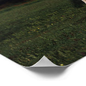 アパロオサマーレとフィールドのフォール ポスター (角)