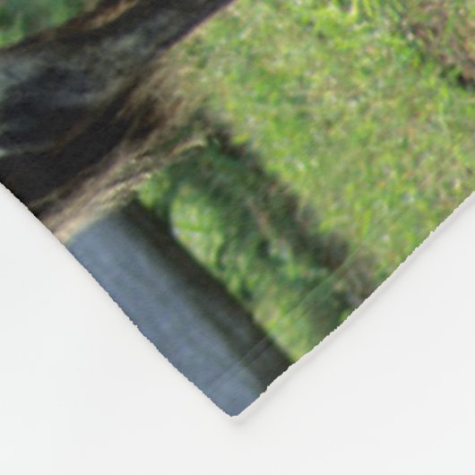 アパロオサマーレアンド子馬ホース フリースブランケット (角)