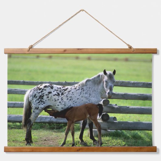 アパロオサマーレアンド子馬ホース 吊り下げ型タペストリー (正面)