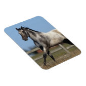 アパロオサランニングホースの3 マグネット (右側)