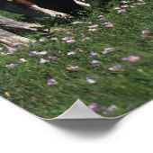 アパロオサ馬の放牧のグループ ポスター (角)