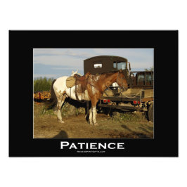 アパロオサ馬ウマ科の動物フォトアートプリント フォトプリント           