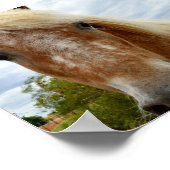 アパロオーサの馬に砂糖を加え ポスター (角)